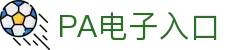 PA电子集团官网